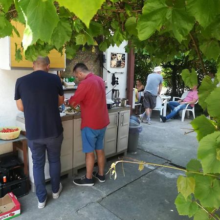 Hostel Trajan Donji Milanovac Bagian luar foto